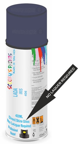 Paint spray aerosol direct - paint,
