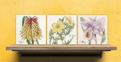 Vintage botanical print - vintage,