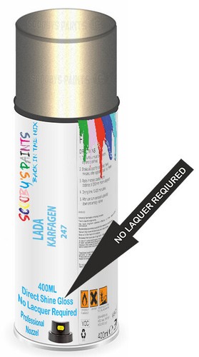Paint spray aerosol - paint, direct